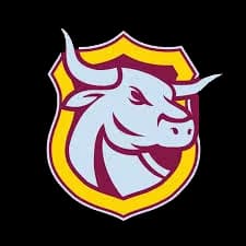 Moralzarzal Bulls